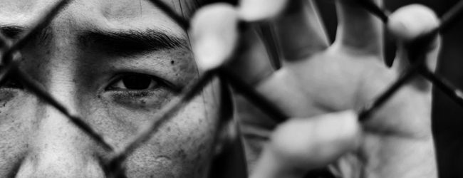 Australia conquer battle against modern slavery