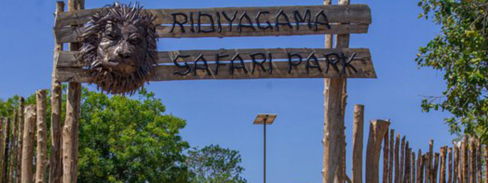 Plans to open 2 zones of Ridiyagama Safari park