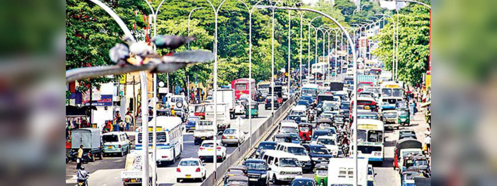 Vehicle registrations rise amid import suspension