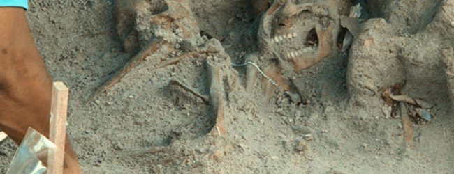 Mannar mass grave remains to be tested in Florida