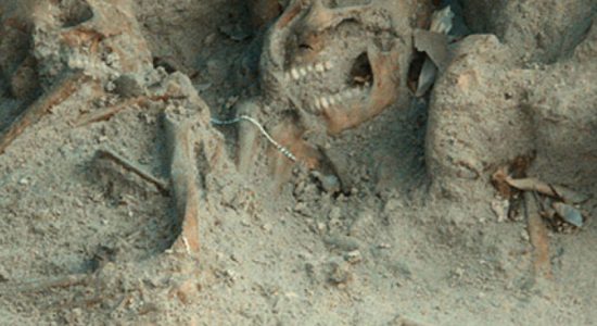 Mannar mass grave samples to be sent to US lab