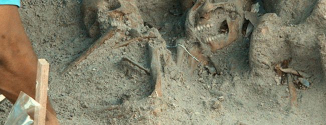 Mannar mass grave samples to be sent to US lab