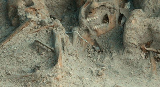 Mannar mass grave; 283 remains recovered 