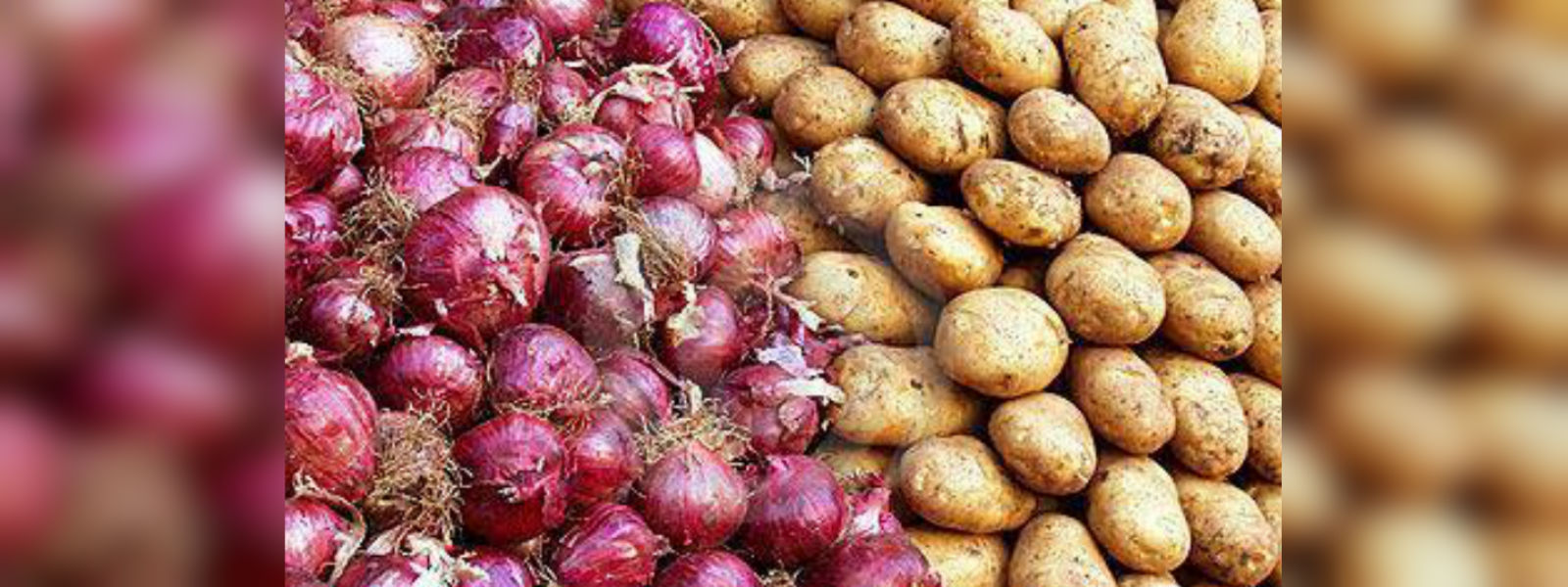 Commodity levy on potato and onions reduced 