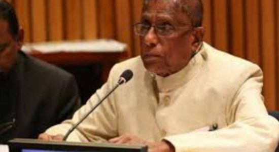 MPs dont need ministerial positions - Gamini 