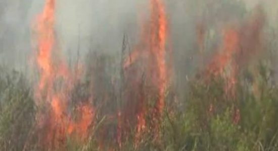 Fire in Hatton destroys around 25 acres
