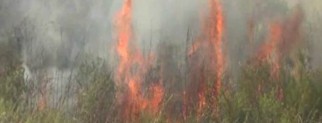 Fire in Hatton destroys around 25 acres