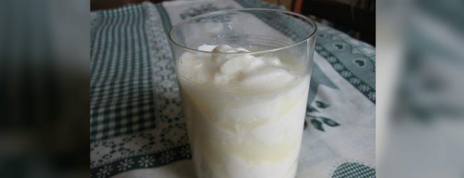Spoilt milk re-entering market 