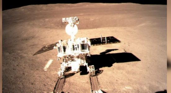China's Moon mission a sucess as seeds sprout 