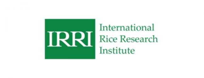 Sri Lanka signs 5 year agreement with IRRI
