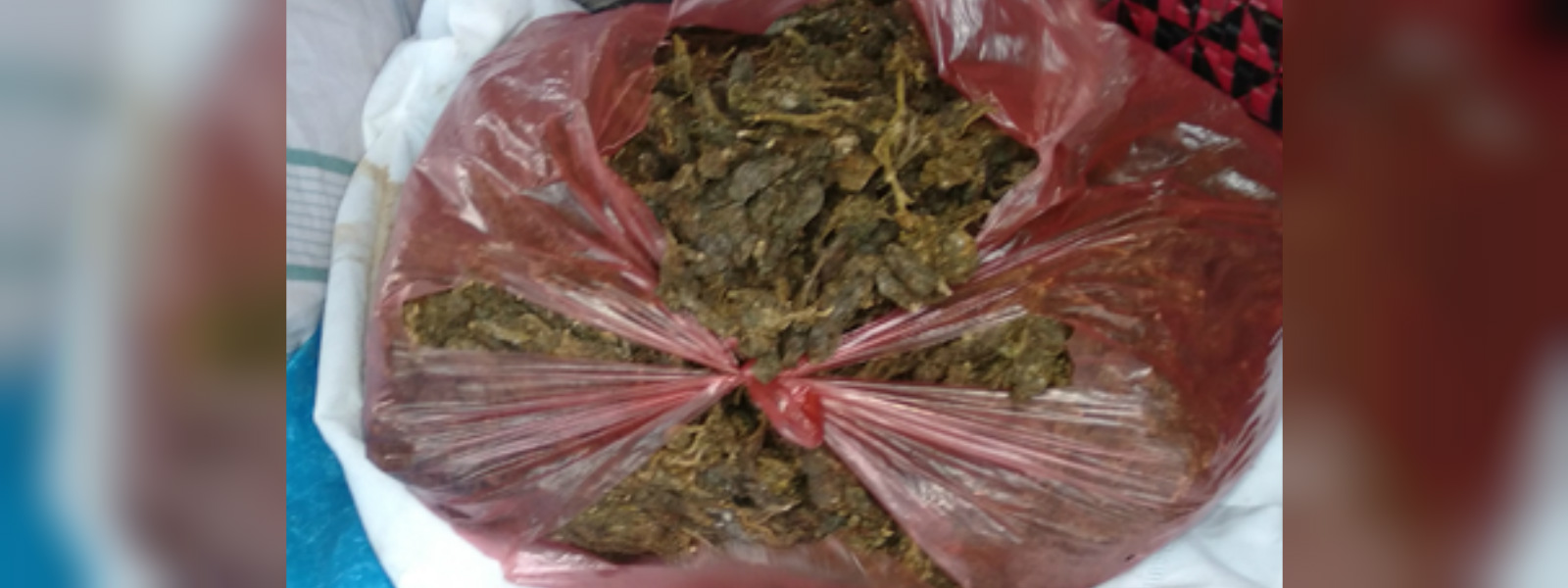 Four arrested with Kerala ganja in Mihintale