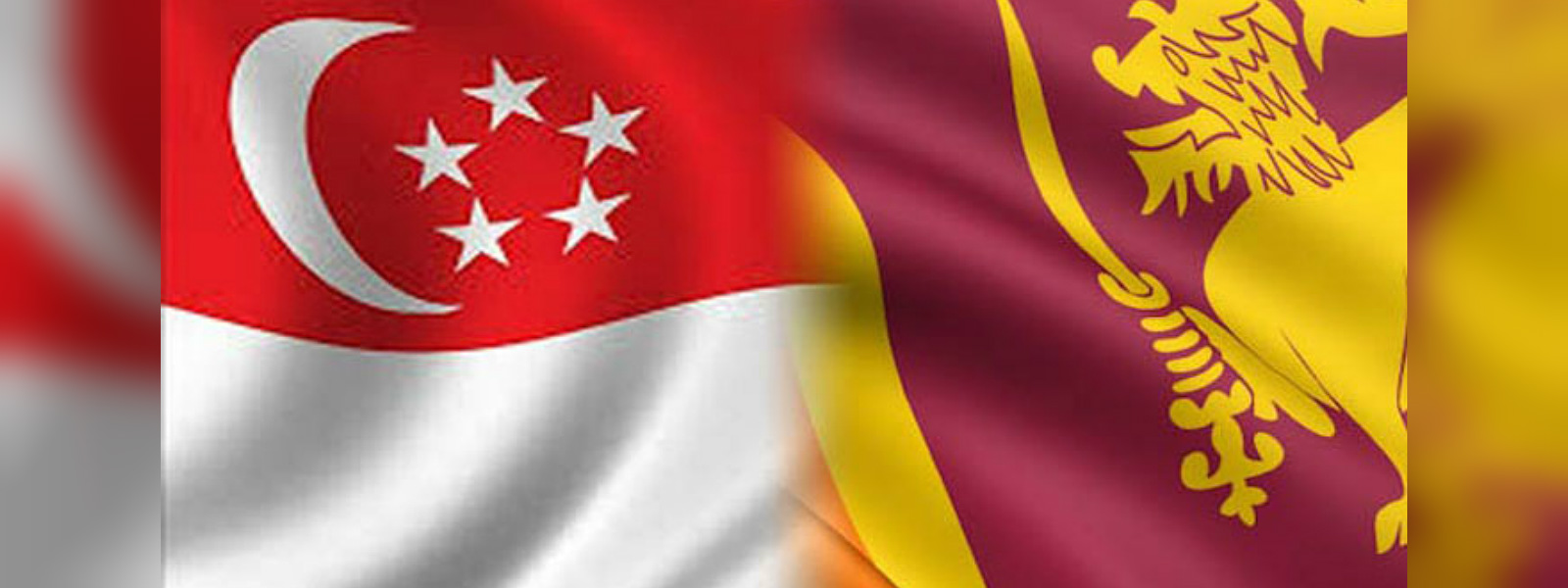 Gov. to revisit and review Singapore FTA