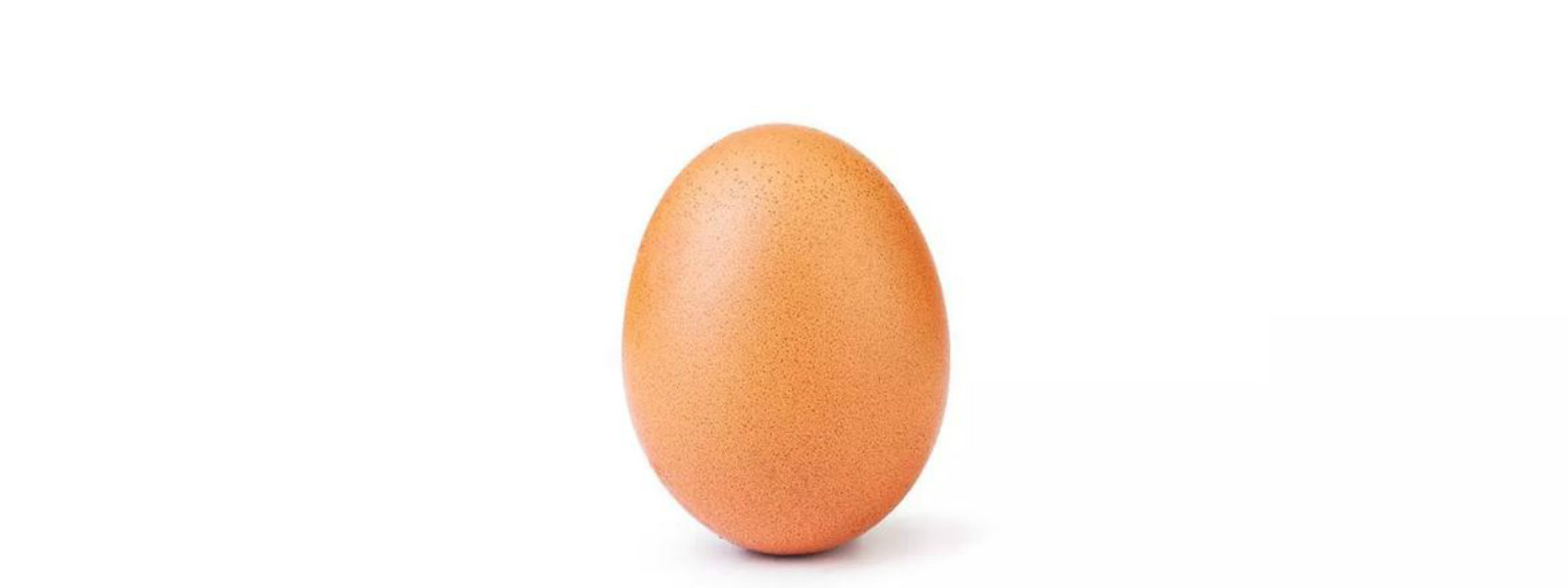 An egg; the heart throb of 28 million Instagramers
