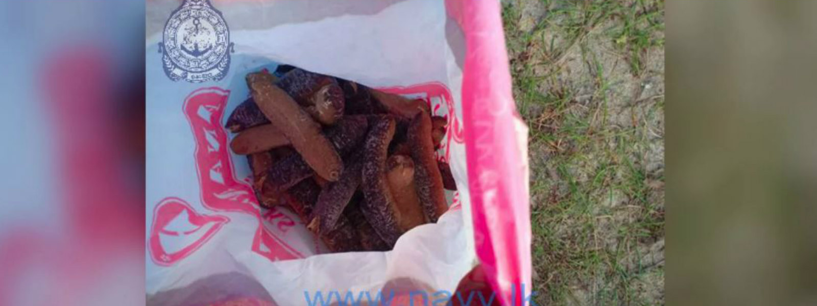 302kg of Sea Cucumber busted by Navy 