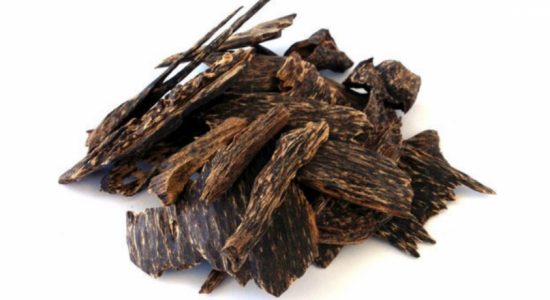Agarwood worth Rs. 1.2Mn confiscated at BIA