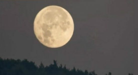 It's a super moon tonight!