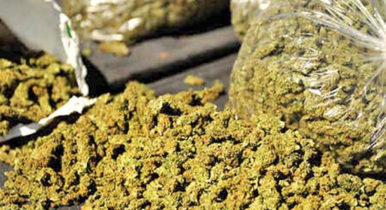 Navy arrests 2 with 86.4kg of Kerala cannabis