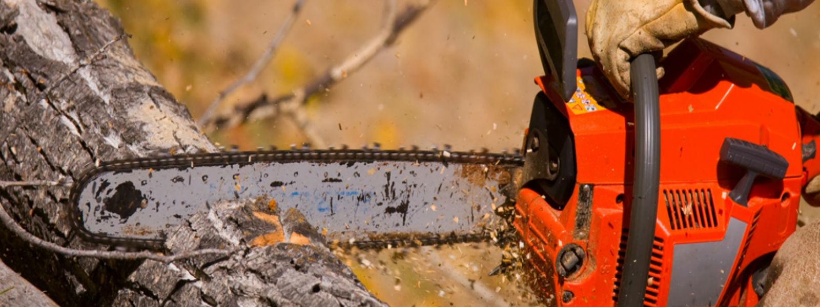 Chainsaw machines to be registered from today 