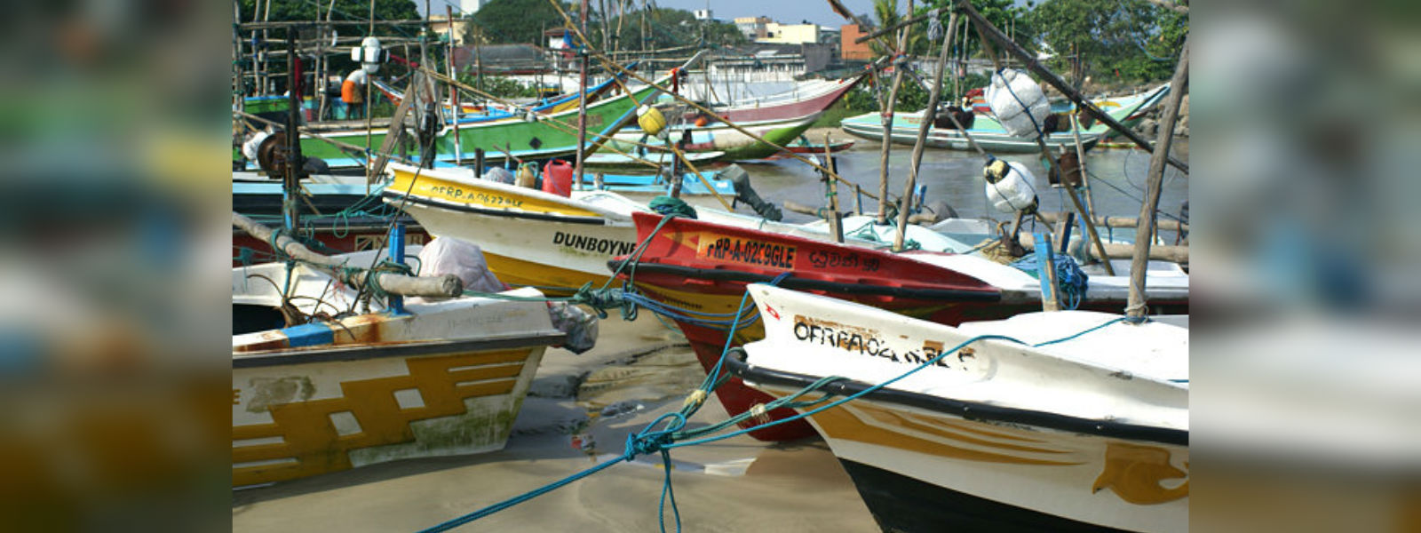 Five fishermen arrested for illegal fishing