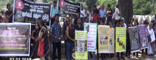 Voice against animal cruelty demo in Kandy