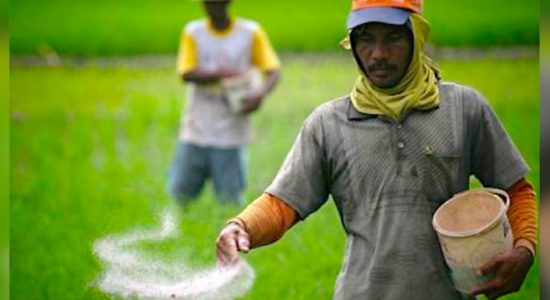 Farmers affected by low prices for produce