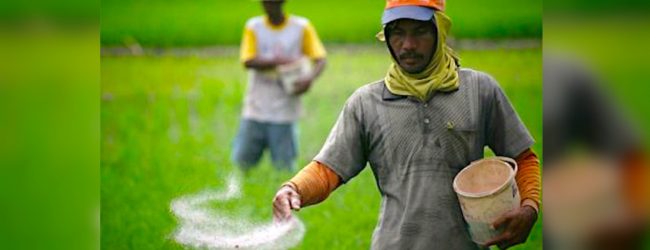 Farmers affected by low prices for produce