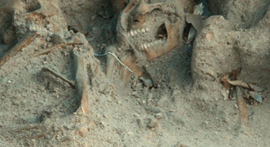 Discussions to recommence Mannar Mass Grave work