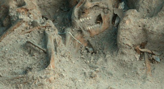 Mannar mass grave excavations suspended 