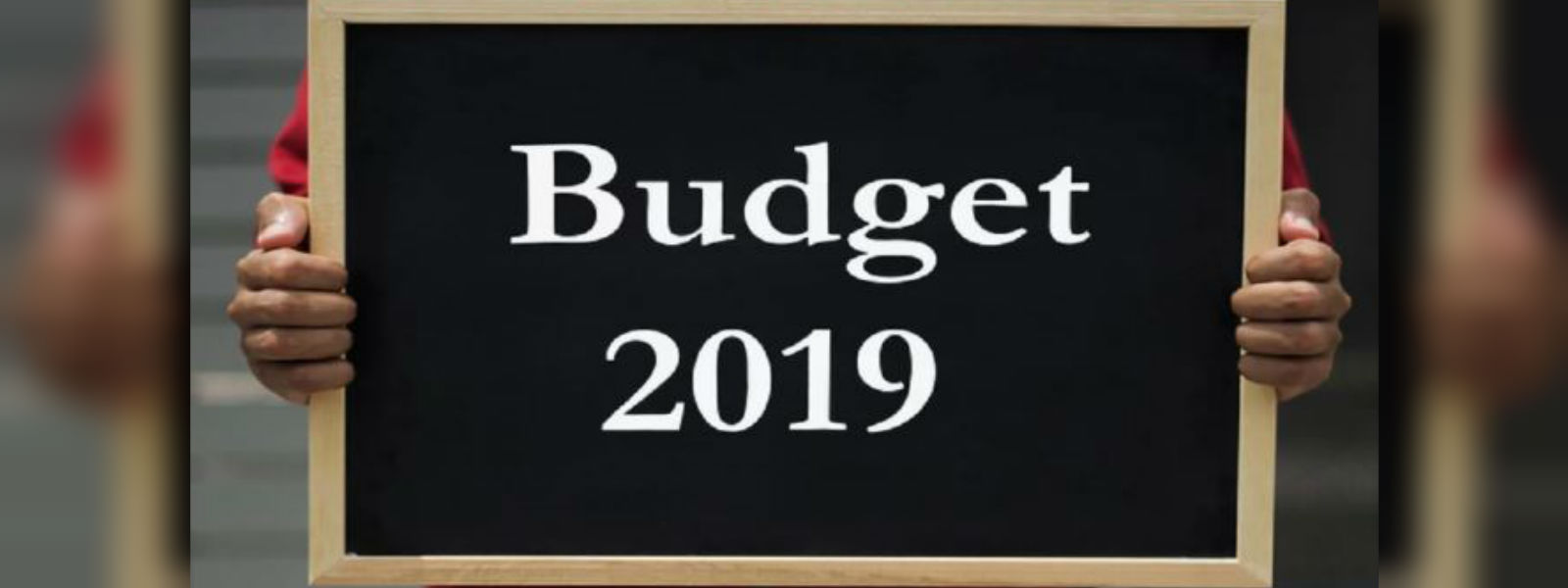 Comments on 2019 Budget proposals by IPS