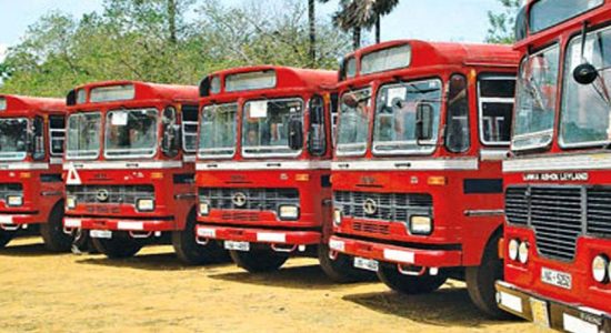 Special train and bus service for festive season