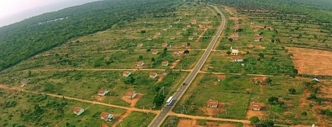 "SL forest density reduced from 85% to 16.5%"