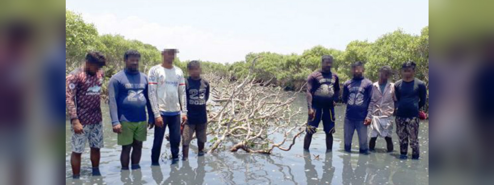 Eight arrested for cutting mangrove shrubs