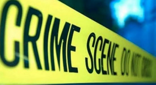 65-year-old woman hacked to death