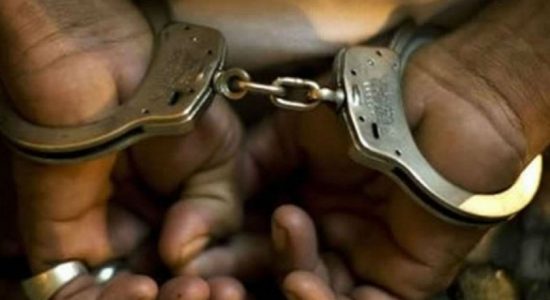 Wanted man arrested with live grenade