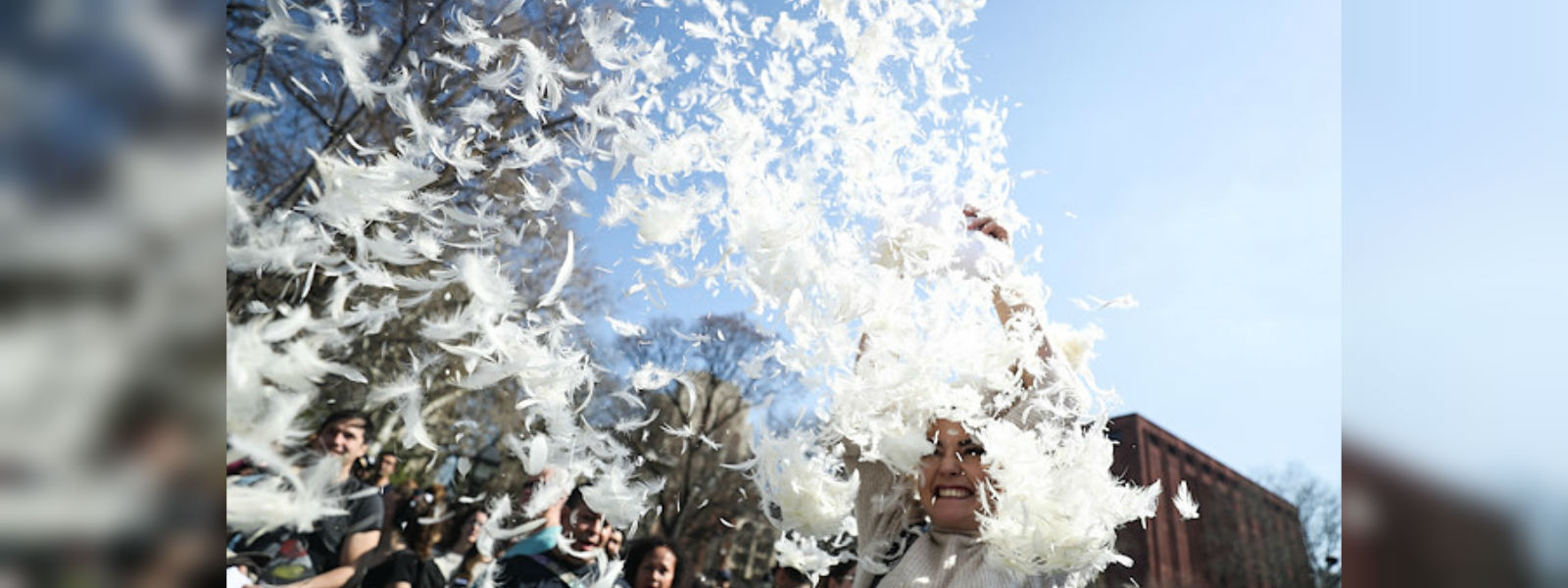 Japan Pillow fighting Championship:Cushions thrown