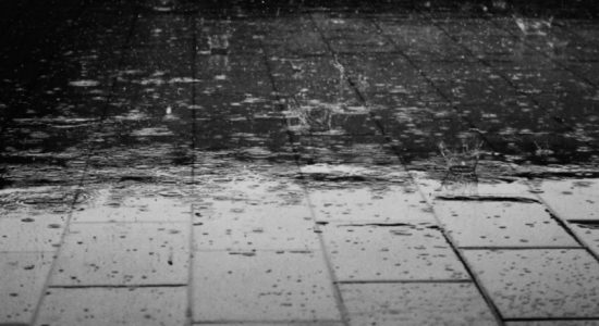 Showers or thundershowers in several provinces