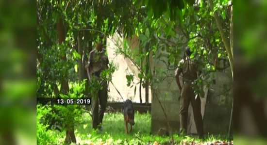 Weapons cache at Wellawaya:Public must be vigilant