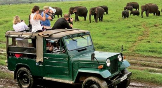 Anomalies in Tourism Industry relief measures 