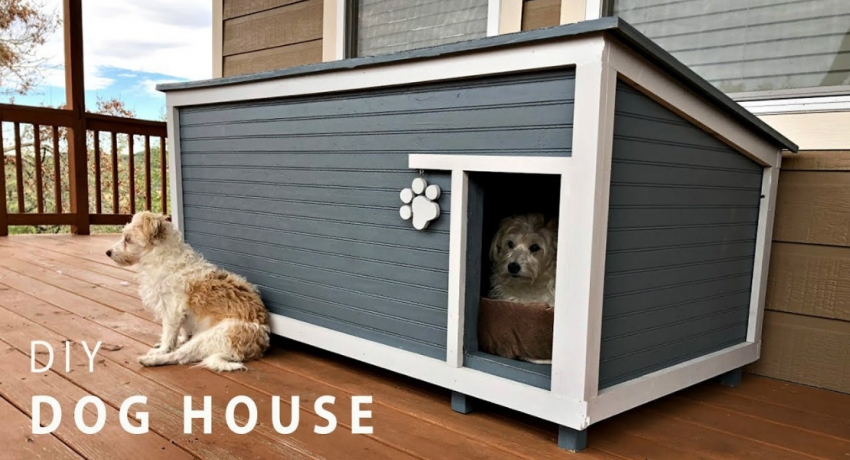 How to Build a Dog House…
