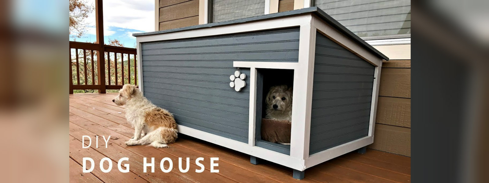 How to Build a Dog House...