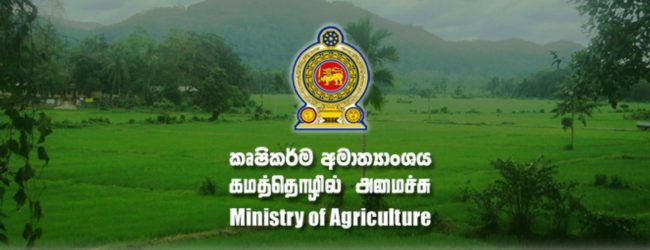 Measures to limit import of supplementary crops
