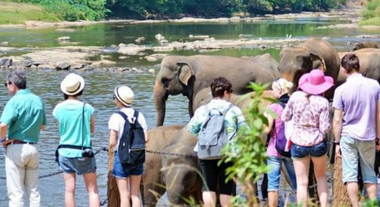Tourists travelling from Netherlands increases