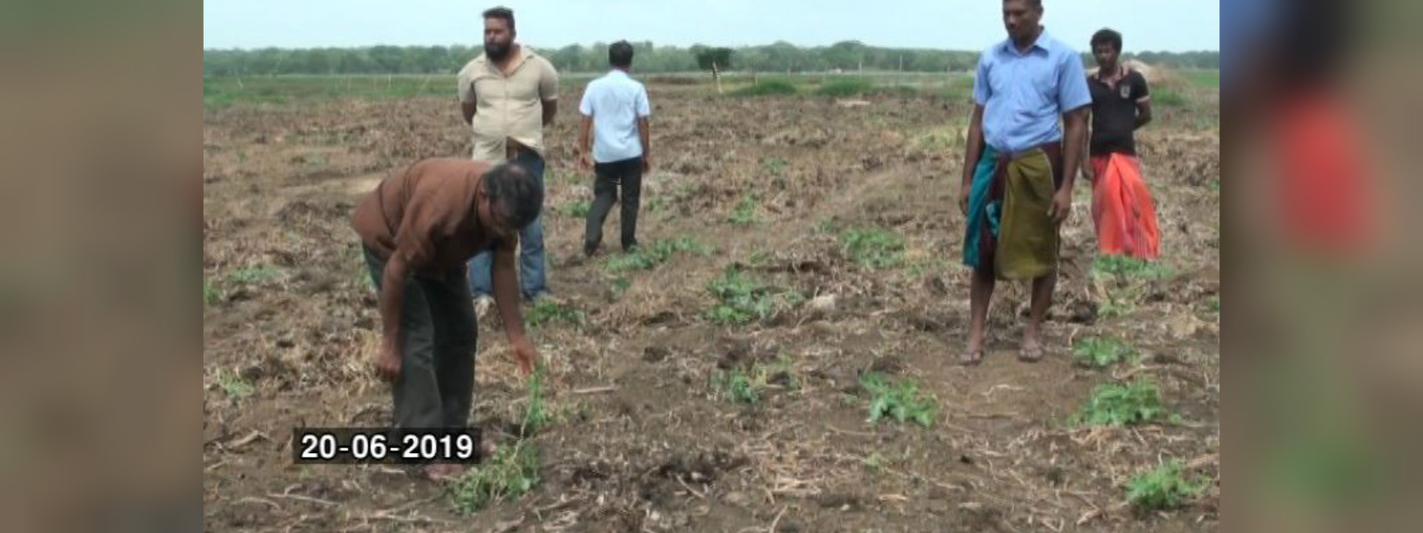 Farmers accuse govt. officials of destroying crops