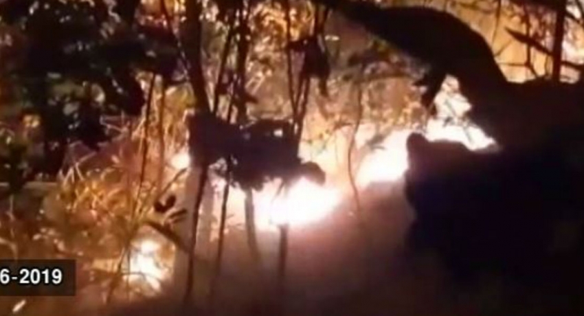 Fire destroys 200 acres of Wellawaya forest reserve