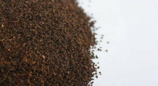 STF discovers a consignment of dust tea