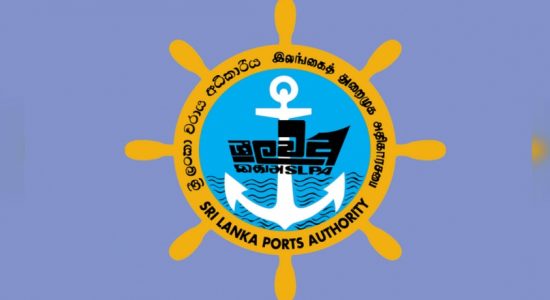 Ports Authority alone in the fight against MoC