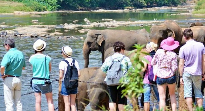 Tourist arrivals to Sri Lanka declines for the 12th consecutive month
