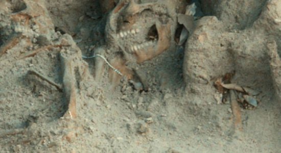 Mannar mass graves archaeological report delayed by one month