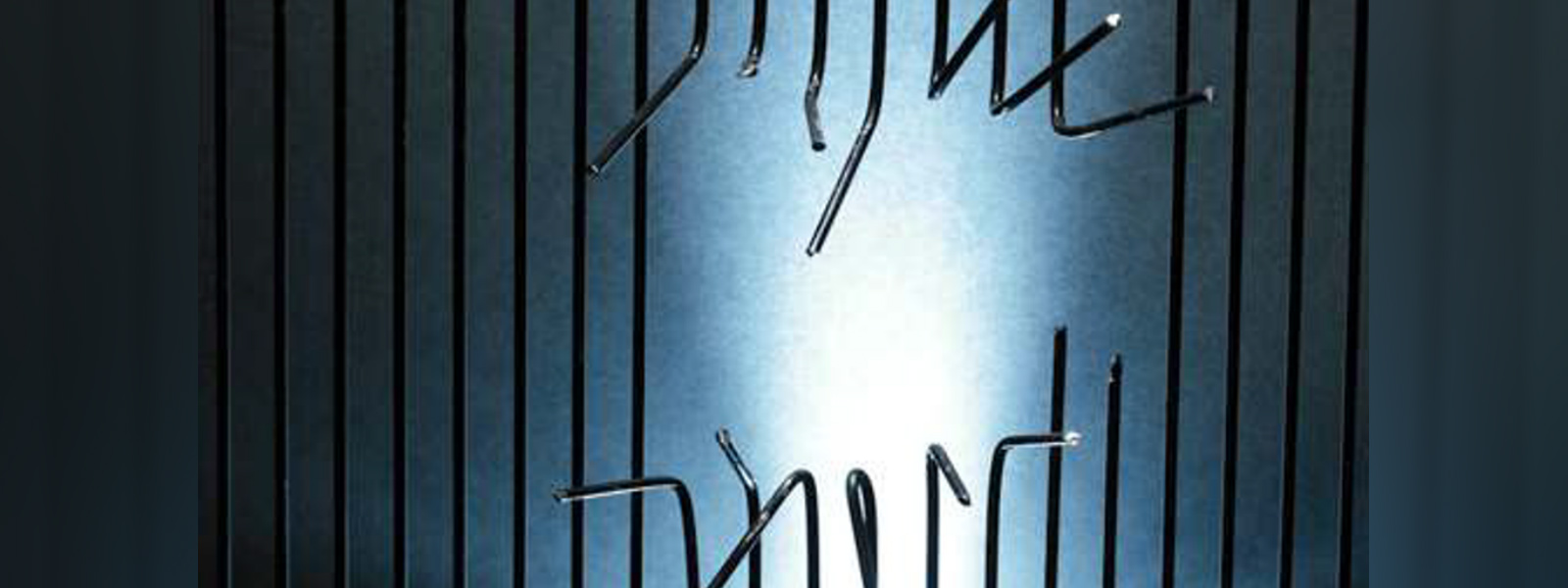 Prison Break : Two inmates escape Badulla prison