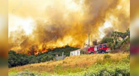 Portugal wildfire threatens homes